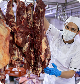 healthy food processor meals