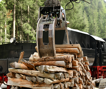 Sawmill/Lumber Industry